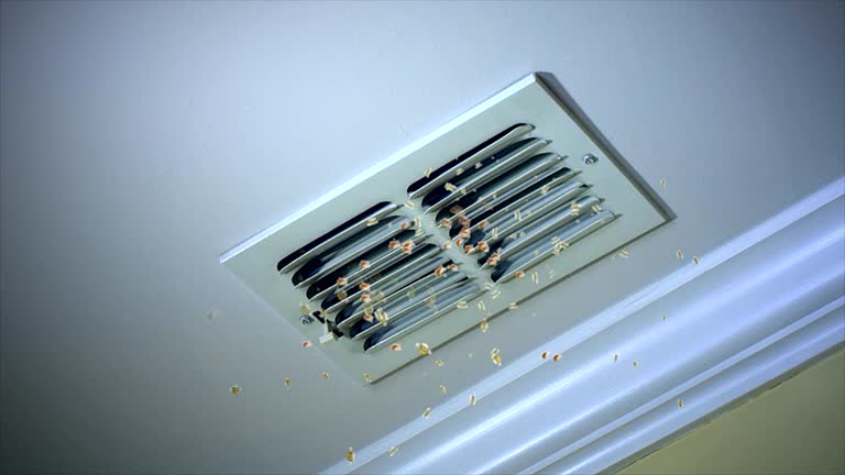 Best HVAC Duct Inspection Services  in Ragland, AL