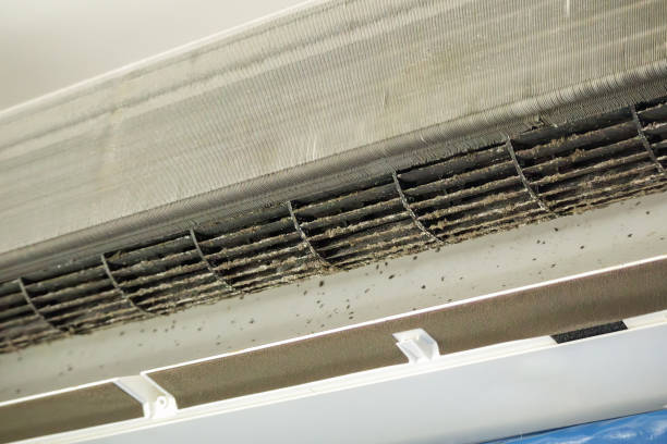 Best Commercial Air Duct Cleaning  in Ragland, AL