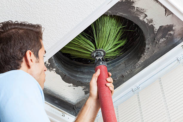 Best Professional Duct Cleaning Services  in Ragland, AL